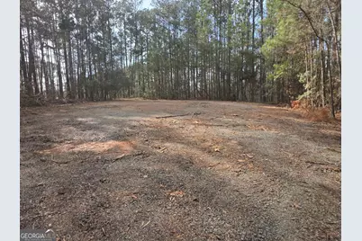 0 White Pine Ct., Sparta, GA 31087 - Photo 2