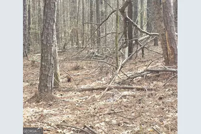 0 White Pine Ct., Sparta, GA 31087 - Photo 1