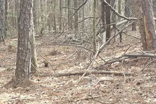 0 White Pine Ct, Sparta, GA 31087 - Photo 1