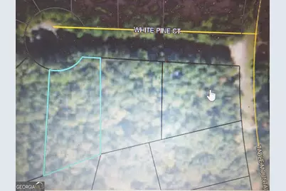 0 White Pine Ct., Sparta, GA 31087 - Photo 6