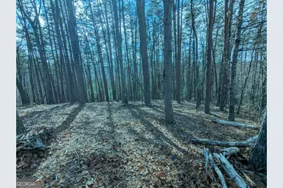 Lt 30-31 Eagle Ridge Road, Dawsonville, GA 30534 - Photo 12