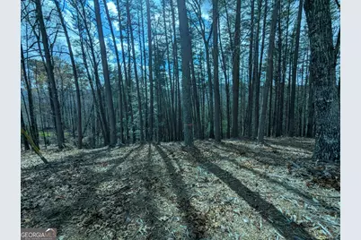 Lt 30-31 Eagle Ridge Road, Dawsonville, GA 30534 - Photo 4