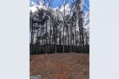 Lt 30-31 Eagle Ridge Road, Dawsonville, GA 30534 - Photo 2
