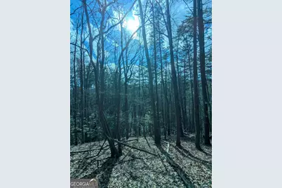 Lt 30-31 Eagle Ridge Road, Dawsonville, GA 30534 - Photo 8