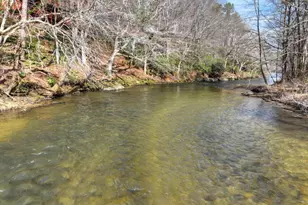 373 Wib Kendall Rd, Blue Ridge, GA 30513 - Photo 4
