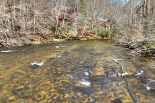 373 Wib Kendall Rd, Blue Ridge, GA 30513 - Photo 44