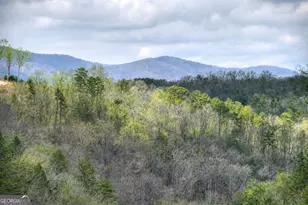 250 Noah Cir, Ellijay, GA 30540 - Photo 4