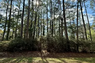 0 N Columbia Ave, Rincon, GA 31326 - Photo 1