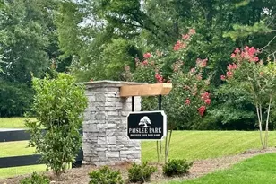 145 Paislee Park Dr, Fayetteville, GA 30215 - Photo 20