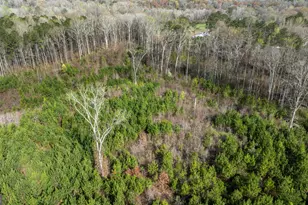 685 N McDonough Rd, Griffin, GA 30223 - Photo 98