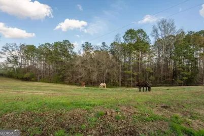 35 Saddleback Farms Drive, Newnan, GA 30263 - Photo 76
