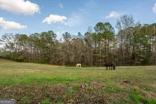 35 Saddleback Farms Dr, Newnan, GA 30263 - Photo 76