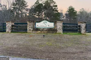 35 Saddleback Farms Dr, Newnan, GA 30263 - Photo 4