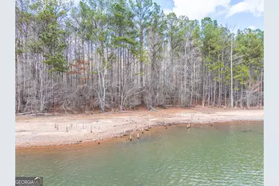 3 Acres Happy Hollow Road, Hampton, GA 30228 - Photo 12