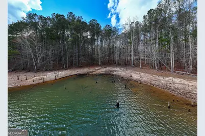 3 Acres Happy Hollow Road, Hampton, GA 30228 - Photo 24