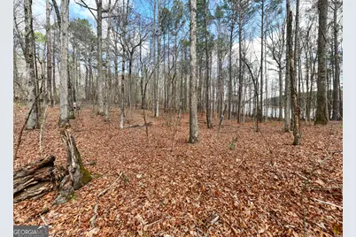 3 Acres Happy Hollow Road, Hampton, GA 30228 - Photo 32