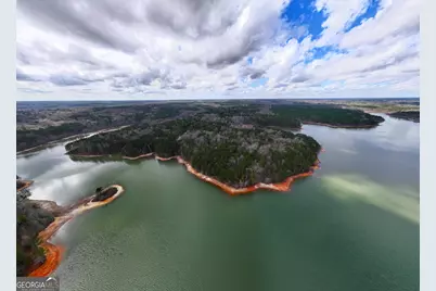 3 Acres Happy Hollow Road, Hampton, GA 30228 - Photo 10