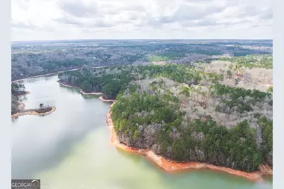 3 Acres Happy Hollow Road, Hampton, GA 30228 - Photo 8