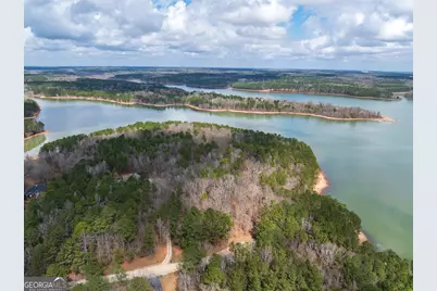 3 Acres Happy Hollow Road, Hampton, GA 30228 - Photo 16