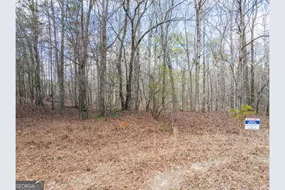 3 Acres Happy Hollow Road, Hampton, GA 30228 - Photo 36