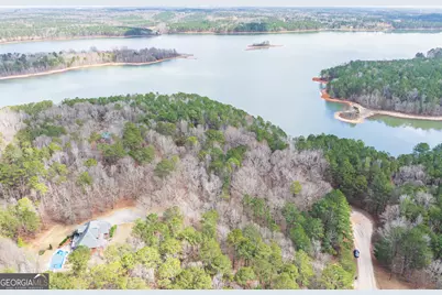 3 Acres Happy Hollow Road, Hampton, GA 30228 - Photo 4