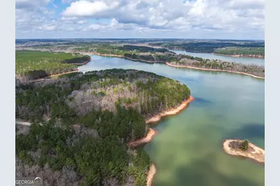 3 Acres Happy Hollow Road, Hampton, GA 30228 - Photo 20