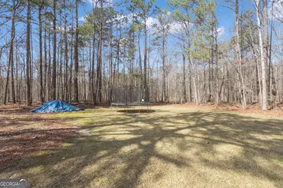 65 Tipperary Trail, Sharpsburg, GA 30277 - Photo 54