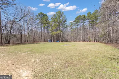 65 Tipperary Trail, Sharpsburg, GA 30277 - Photo 52