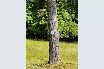 Lt 54 Pinehurst Road, Blairsville, GA 30512 - Photo 2