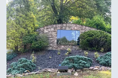 Lt 54 Pinehurst Road, Blairsville, GA 30512 - Photo 1