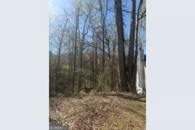 11005 Regents Court, Hampton, GA 30228 - Photo 4