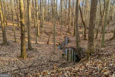 8714 Highway 172, Comer, GA 30629 - Photo 28