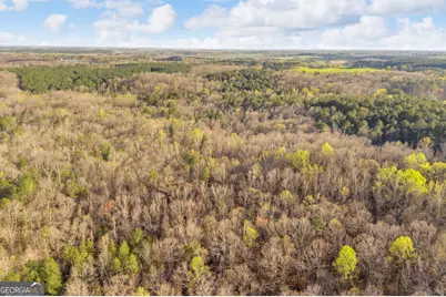 8714 Highway 172, Comer, GA 30629 - Photo 58