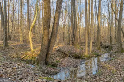 8714 Highway 172, Comer, GA 30629 - Photo 36