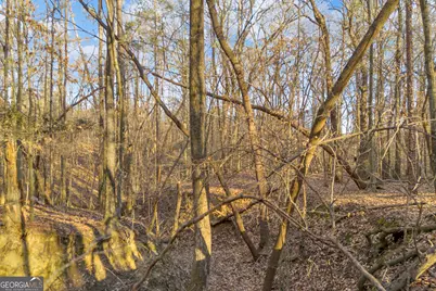 8714 Highway 172, Comer, GA 30629 - Photo 26