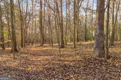 8714 Highway 172, Comer, GA 30629 - Photo 14