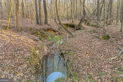8714 Highway 172, Comer, GA 30629 - Photo 34