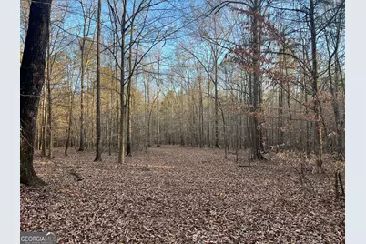 8714 Highway 172, Comer, GA 30629 - Photo 46