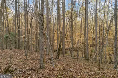 8714 Highway 172, Comer, GA 30629 - Photo 38