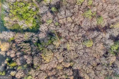 8714 Highway 172, Comer, GA 30629 - Photo 54