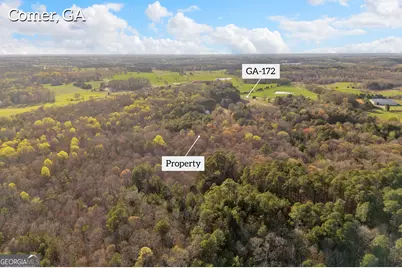8714 Highway 172, Comer, GA 30629 - Photo 4