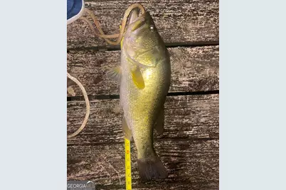 1448 Bohannon Road, Grantville, GA 30220 - Photo 24