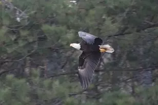 1448 Bohannon Rd, Grantville, GA 30220 - Photo 38