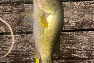 1448 Bohannon Rd, Grantville, GA 30220 - Photo 36