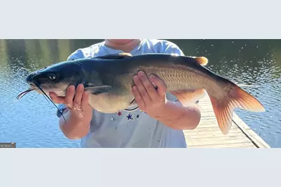 1448 Bohannon Road, Grantville, GA 30220 - Photo 22