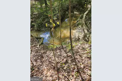 0 Maple Grove Church Rd, Chatsworth, GA 30705 - Photo 8