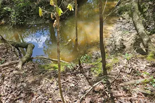 0 Maple Grove Church Rd, Chatsworth, GA 30705 - Photo 8