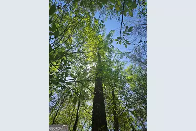 0 Maple Grove Church Rd, Chatsworth, GA 30705 - Photo 6