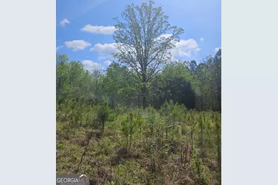 0 Maple Grove Church Rd, Chatsworth, GA 30705 - Photo 10