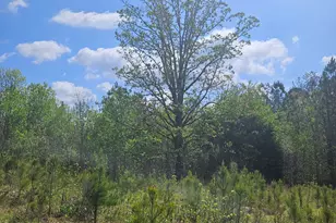 0 Maple Grove Church Rd, Chatsworth, GA 30705 - Photo 10